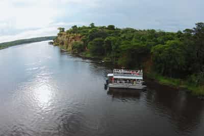 Spot wildlife and the rare Shoebill on a boat trip