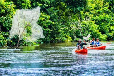 Explore Odzala-Kokoua National Park by kayak
