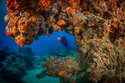 Go scuba diving off Ponta Do Ouro