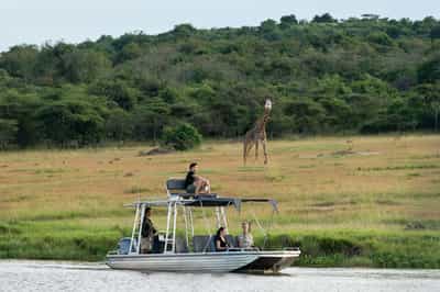 Enjoy a sundowner boat cruise in Akagera