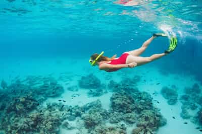 Snorkel the crystal clear waters of Diani