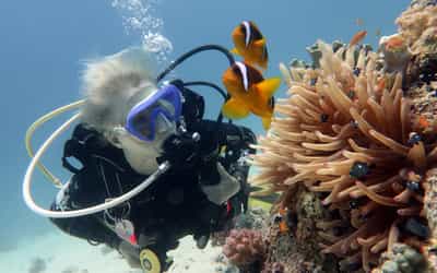 Scuba dive among the coral reefs in Diani