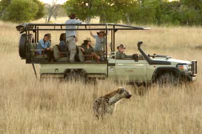 Track Chobe's wildlife on a game drive