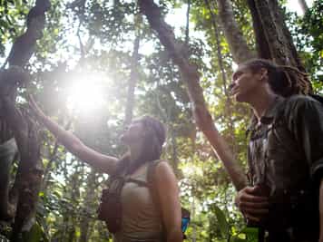 Explore Dzanga-Sangha's rainforests on a walk