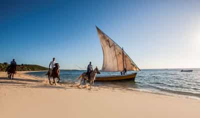 Gallop along Bazaruto beach on a horseback ride
