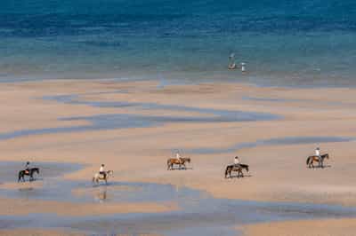 Gallop along Vilanculos beach on a horseback ride
