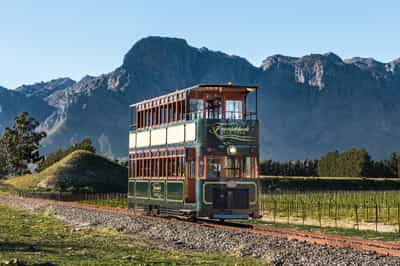 Explore Franschhoek's vineyards by tram