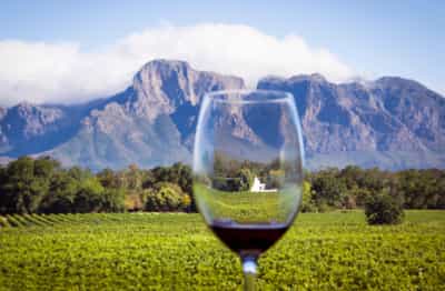 Go wine tasting in the winelands of Cape Town