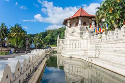 Visit the temples and markets of central Kandy
