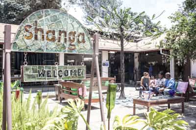 Stop for shopping at Shanga and lunch at Arusha Coffee Lodge