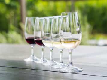 Go wine tasting in Paarl