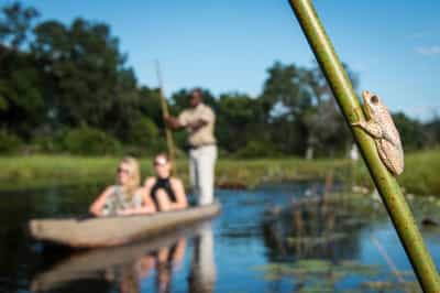 Glide along the water on a Mokoro Safari in Moremi