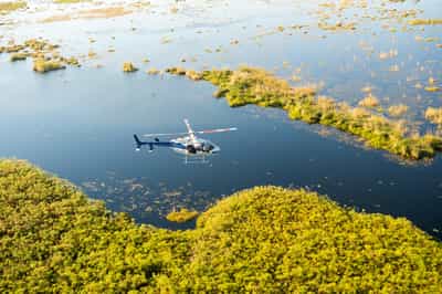 Helicopter safari from the sky in Moremi