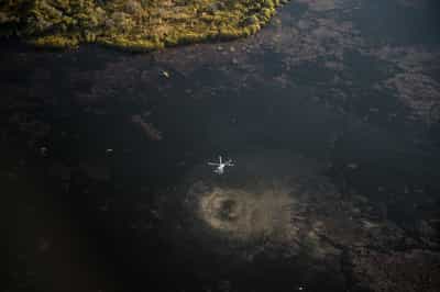 Helicopter safari from the sky in the Okavango