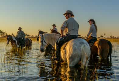 Go on a horseback safari in the Okavango Delta