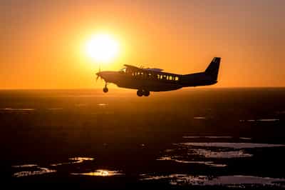 Take a scenic flight from Maun