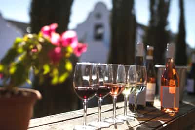 Go wine tasting in Stellenbosh
