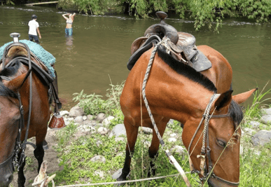 Explore Reserva Natural La Maria on horseback 