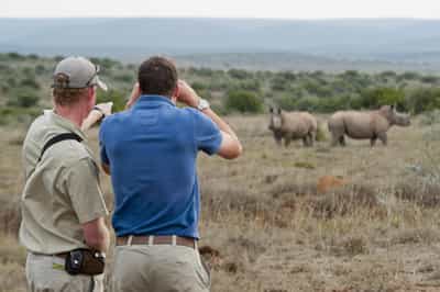 Go on a guided walking safari in the Eastern Cape