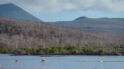 Visit Champion Islets & Cormorant Point