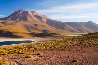 Visit the breathtaking altiplanic lagoons