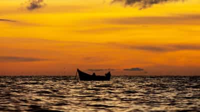 Take a sunset cruise on Lake Victoria from Entebbe