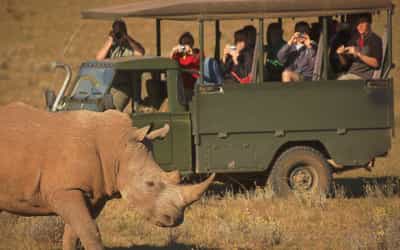 Go on a Schotia Tooth & Claw Safari