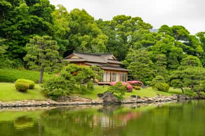 Wander in Hamarikyu's Tranquil Gardens