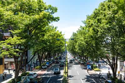Stroll down Tokyo's Trendy Omotesando Street