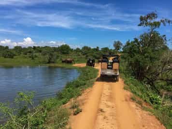 Jeep safari in Udawalawe National Park 