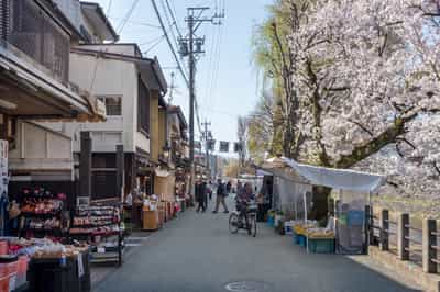 Visit Miyagawa Morning Market in Takayama