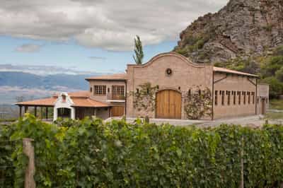 Go wine tasting at San Pedro de Yacochuya