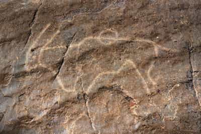 Visit the rock art sites in Tswalu