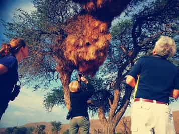 Go on a guided walk in Tswalu 