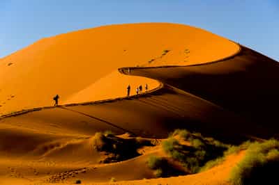 Summit the dunes of NamibRand Nature Reserve