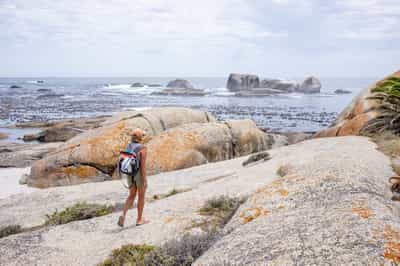Listen to unique stories on a guided walk in Cape Town