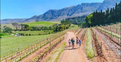 The Constantia Wine Walk