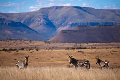 Eastern Cape