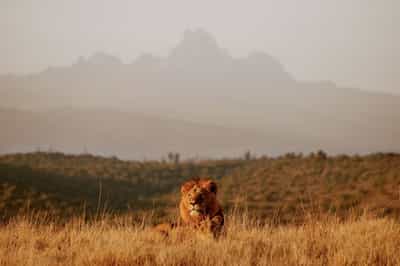 Laikipia