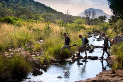 Waterberg