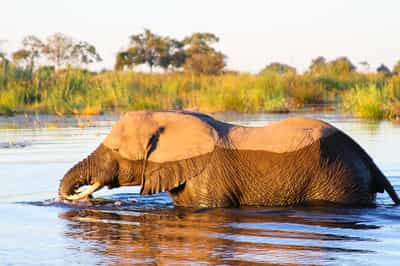 Caprivi (the Zambezi Region)