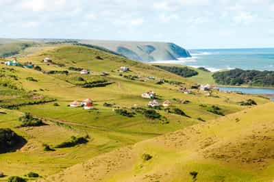 Wild Coast