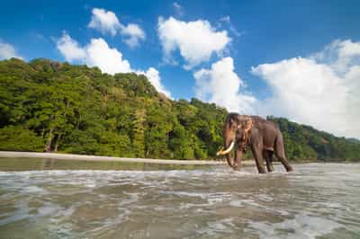 Andaman Islands