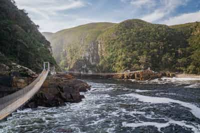 Storms River & Tsitsikamma National Park