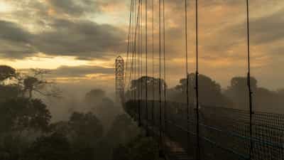 The Ecuadorian Amazon