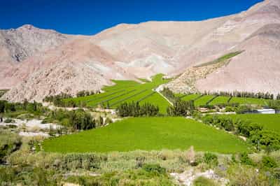 The Elqui Valley