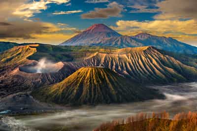 Bromo