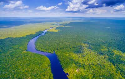 Brazilian Amazon