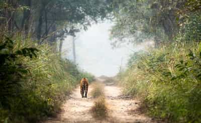 Chitwan National Park