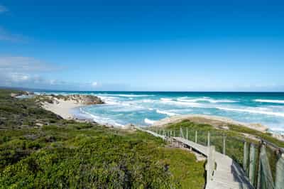 De Hoop